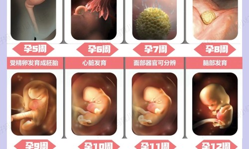 糖尿病人一天吃很多网 | 糖尿病人一天能吃几个蛋,糖尿病人一天能吃多少苹果