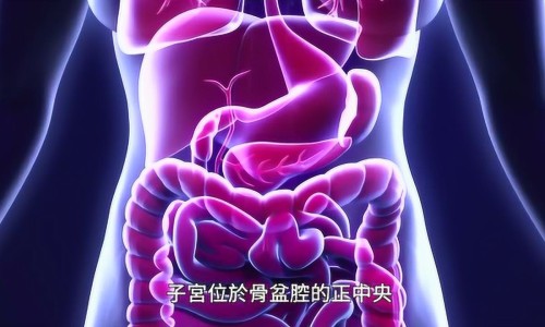 糖尿病人一天吃很多网 | 糖尿病人一天能吃几个蛋,糖尿病人一天能吃多少苹果